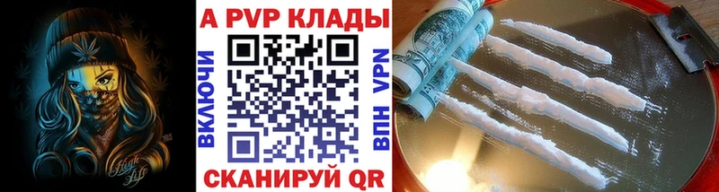 Alpha-PVP СК где купить Стародуб
